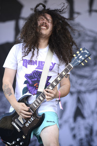 Deichbrand Festival 2019 in Wurster Nordseeküste