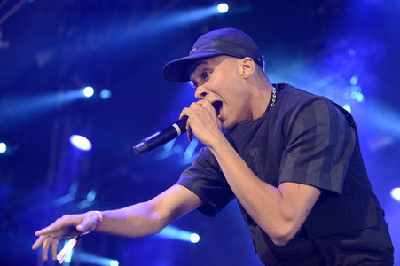 Deichbrand Festival 2019 in Wurster Nordseeküste