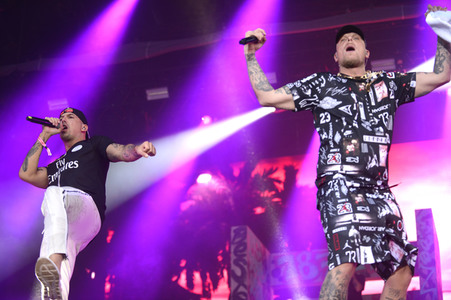 Deichbrand Festival 2019 in Wurster Nordseeküste