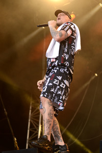 Deichbrand Festival 2019 in Wurster Nordseeküste