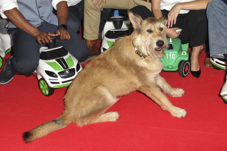 Filmpremiere 'Leberkäsjunkie' in München