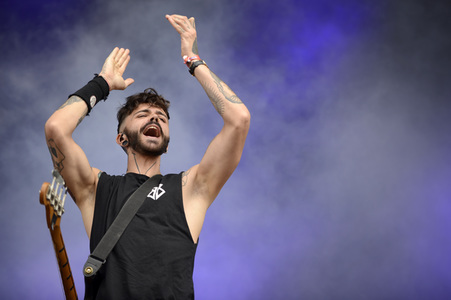 Deichbrand Festival 2019 in Wurster Nordseeküste