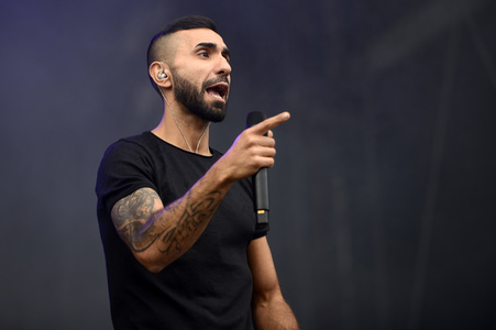 Deichbrand Festival 2019 in Wurster Nordseeküste