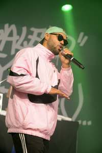 Deichbrand Festival 2019 in Wurster Nordseeküste