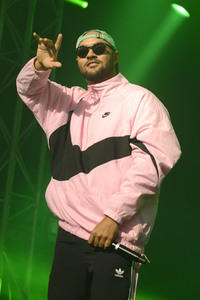 Deichbrand Festival 2019 in Wurster Nordseeküste