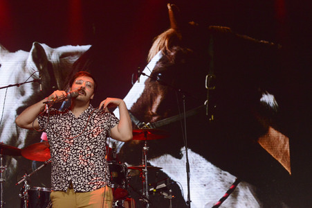 Deichbrand Festival 2019 in Wurster Nordseeküste