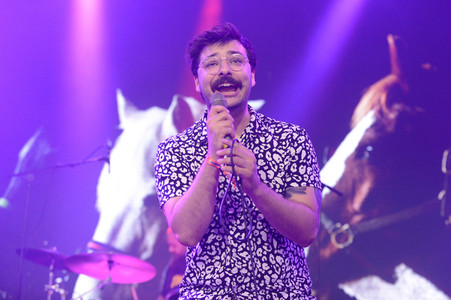 Deichbrand Festival 2019 in Wurster Nordseeküste