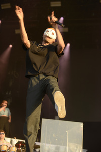 Deichbrand Festival 2019 in Wurster Nordseeküste