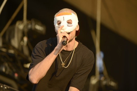 Deichbrand Festival 2019 in Wurster Nordseeküste