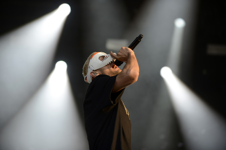 Deichbrand Festival 2019 in Wurster Nordseeküste