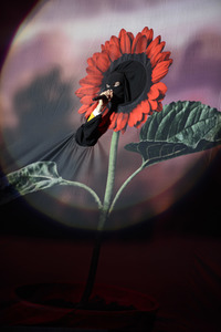 Deichbrand Festival 2019 in Wurster Nordseeküste