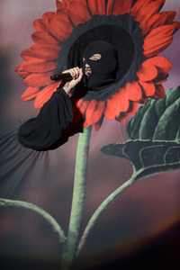 Deichbrand Festival 2019 in Wurster Nordseeküste