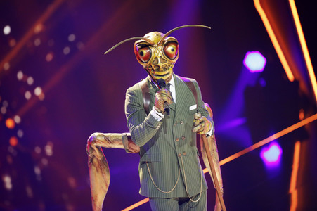 TV-Show 'The Masked Singer' in Köln