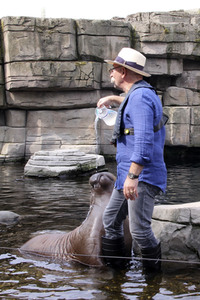 Walross-Taufe in Hamburg