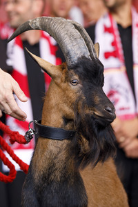 Saisoneröffnung 2019 des 1. FC Köln