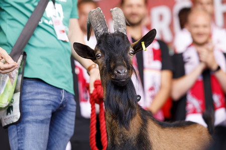 Saisoneröffnung 2019 des 1. FC Köln