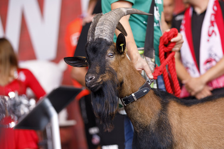 Saisoneröffnung 2019 des 1. FC Köln