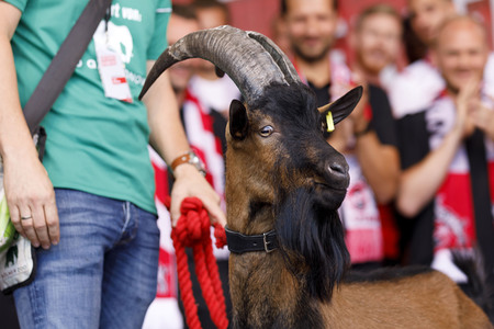 Saisoneröffnung 2019 des 1. FC Köln