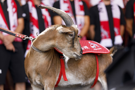 Saisoneröffnung 2019 des 1. FC Köln