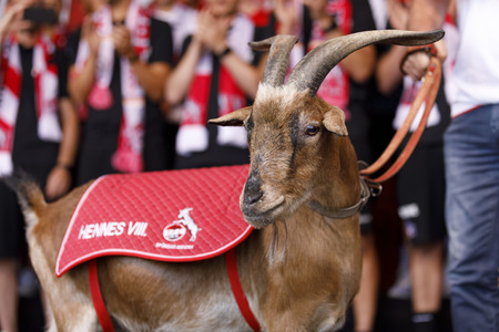 Saisoneröffnung 2019 des 1. FC Köln