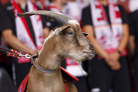 Saisoneröffnung 2019 des 1. FC Köln