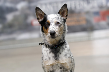 Fantreffen 'Unter uns' in Köln