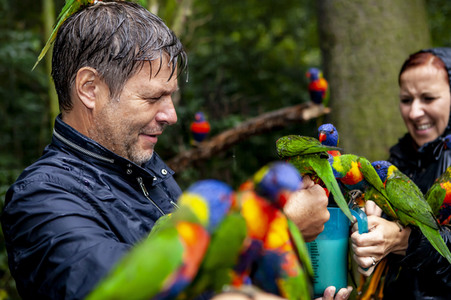 Wahlkampfveranstaltung von Bündnis 90/Die Grünen in Zittau