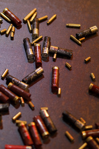 Gamescom 2019 in Köln