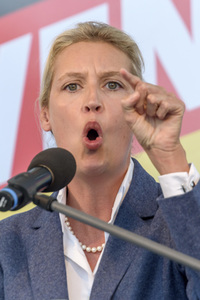 Wahlkampfveranstaltung der AfD in Oranienburg