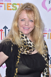 Tex-Mex Fiesta der Farrah Fawcett Foundation in Beverly Hills