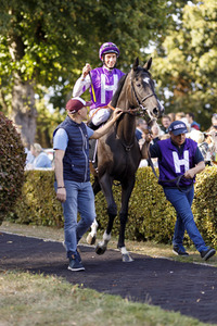 Tipico Renntag in Köln