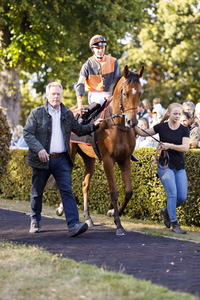 Tipico Renntag in Köln