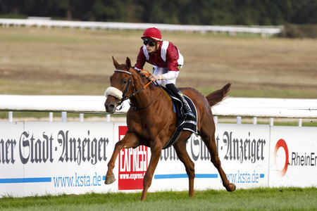 Tipico Renntag in Köln