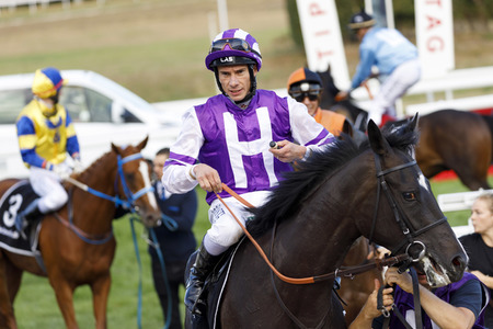 Tipico Renntag in Köln