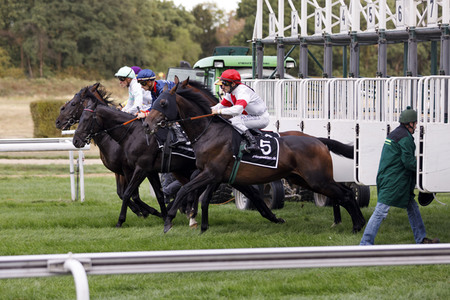 Tipico Renntag in Köln
