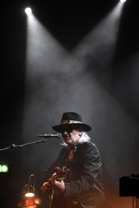 Konzert von Wayne Hussey in Hannover