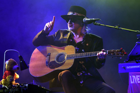 Konzert von Wayne Hussey in Hannover