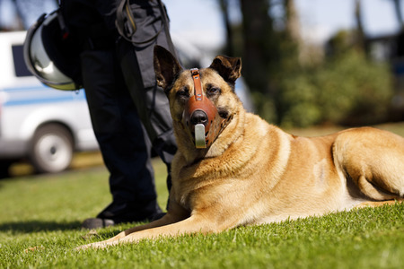 Polizeimaßnahmen beim Derby 1. FC Köln gegen Borussia Mönchengladbach in Köln