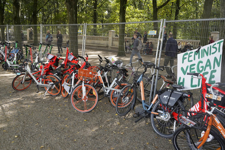 'Fridays for Future' Klimastreik in Berlin