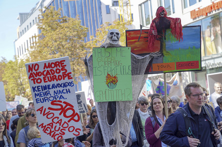 'Fridays for Future' Klimastreik in Köln