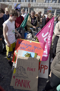 'Fridays for Future' Klimastreik in Darmstadt