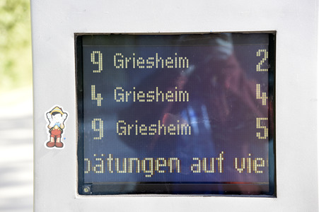 'Fridays for Future' Klimastreik in Darmstadt