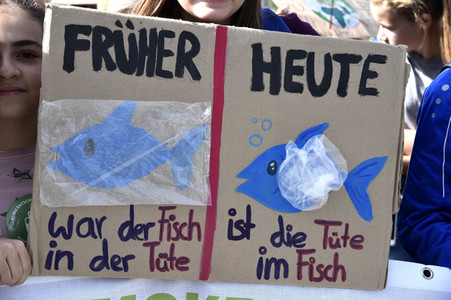'Fridays for Future' Klimastreik in Darmstadt