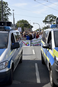 'Fridays for Future' Klimastreik in Darmstadt
