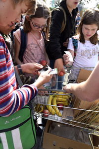 'Fridays for Future' Klimastreik in Darmstadt