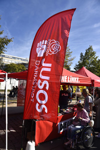 'Fridays for Future' Klimastreik in Darmstadt