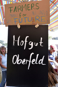 'Fridays for Future' Klimastreik in Darmstadt