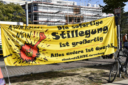 'Fridays for Future' Klimastreik in Darmstadt