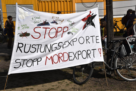 'Fridays for Future' Klimastreik in Darmstadt