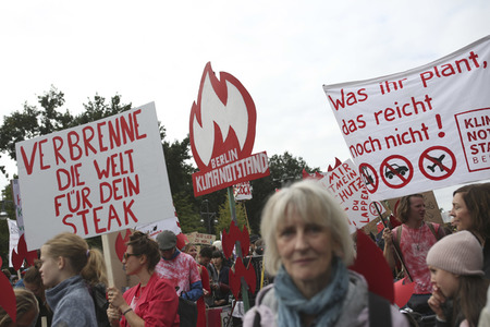 'Fridays for Future' Klimastreik in Berlin